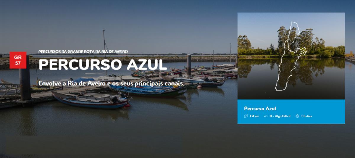 grande rota da ria de aveiro